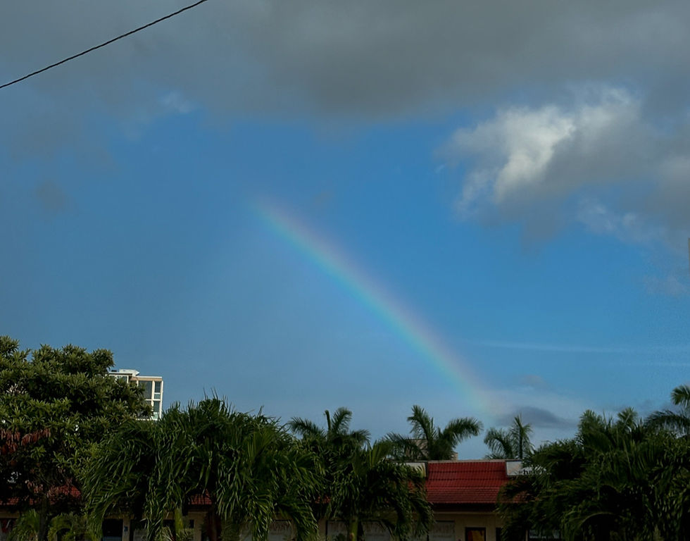 Mad's Favorite Spots in Tampa