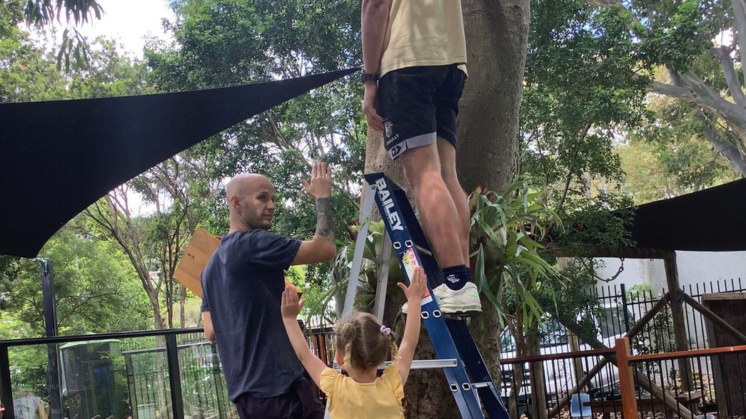 Nesting box erection.jpeg