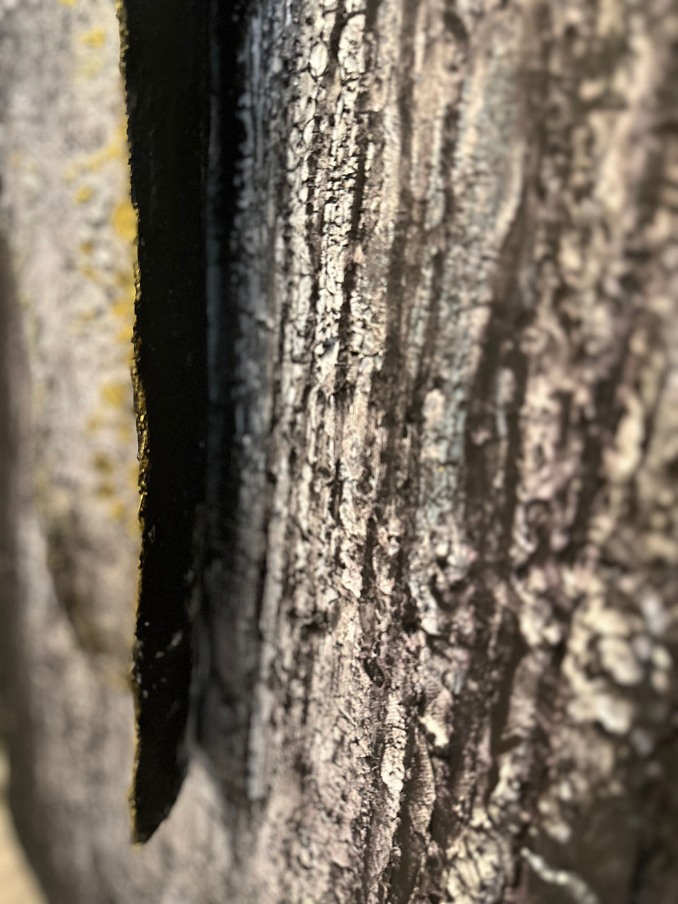 Thumbnail: Into the Wood - 48"x24"