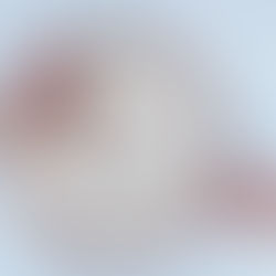 tarte aux pommes, bacon & sirop d’érable