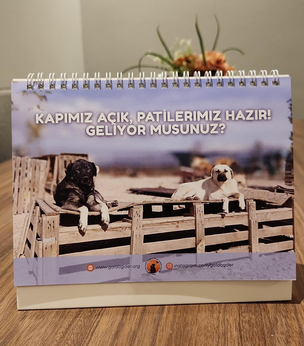 Küçük resim: A calendar says: KAPIMIZ AÇIK, PATİLERİMİZ HAZIR! GELİYOR MUSUNUZ? 2026 Takvimi - Patili dostlarımız için mama, tedavi ve barınma desteği