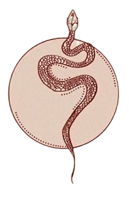 Ekran Resmi 2025-02-08 15.51_edited.png