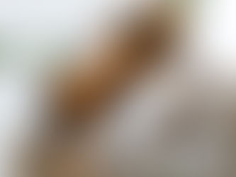 November feature essential oil "Zendocrine"