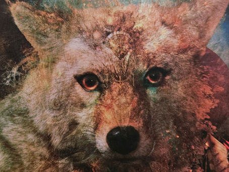 Although you may encounter the opposite of what you hoped for, these lessons, while confusing, are ultimately for your highest good.