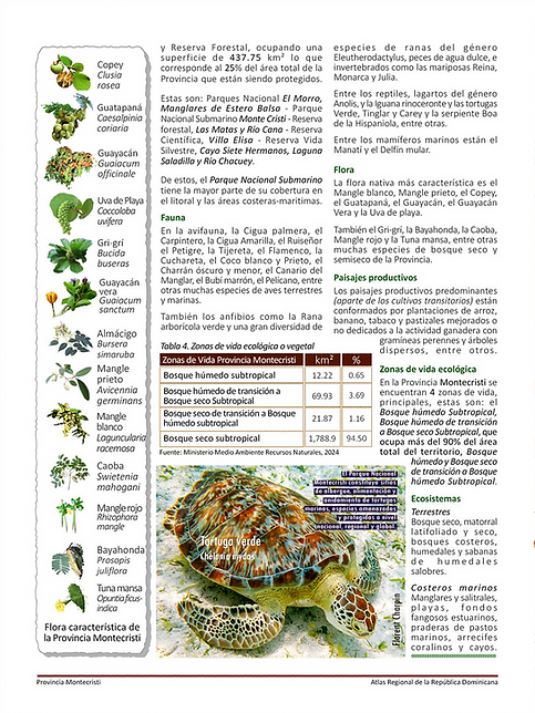 Montecristi wix 5.png