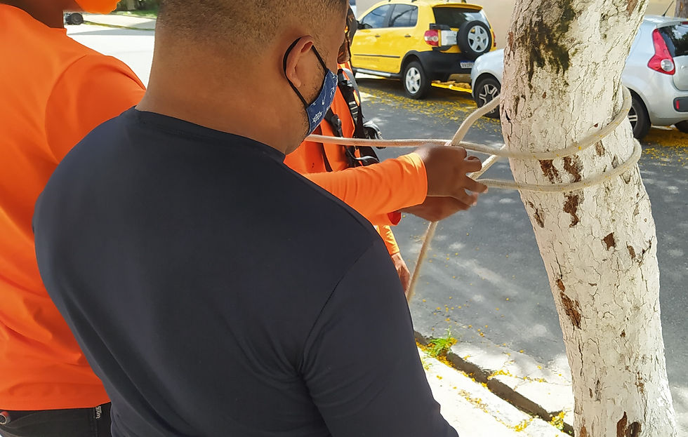 Aplicação de nós de ancoragem