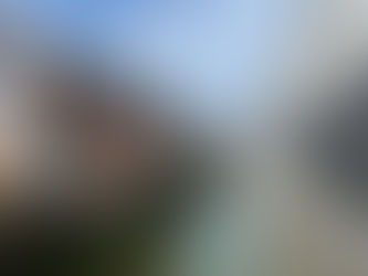 和歌山城内と内堀周辺