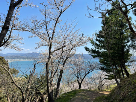 高津子山ハイキング