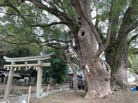 藤白神社と鈴木屋敷