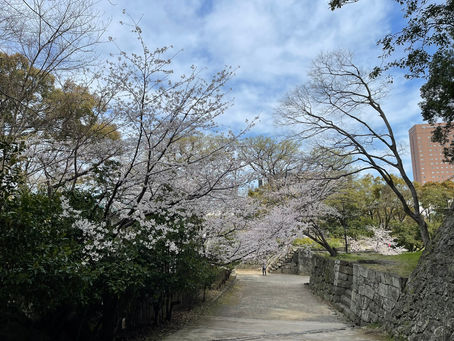 春なのに