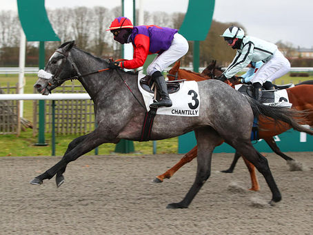 Romanised enchaîne les succès à l'international