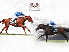 First mares in-foal for Marhaba Ya Sanafi and Tribalist