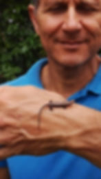 Adilson Brito Reserva Ecológica Refúgio das Araucárias