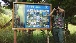 Reffugio das Araucárias birdwatch