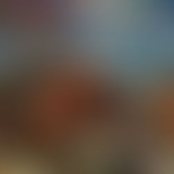 Luc Frank: „Klare Richtlinien für Bergbau … auch in der Tiefsee“