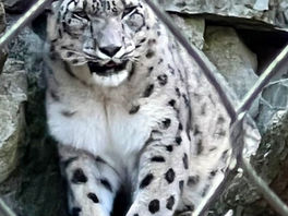 Why it can be so hard to press on?