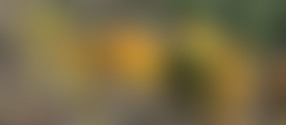 Spaces: "Doesn't love ask before it assumes? That's how you know it's real."