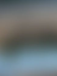 “The enemy uses and causes the differences of opinion to play a role in psychological warfare