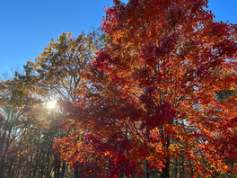 What does it mean when The Body in Faith of Christ is growing up or when it matures at time’s end?