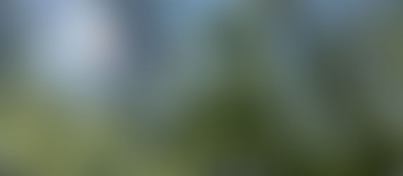 Spaces: "If some seasons are waves, what anchor in you keeps you from being pulled under?"