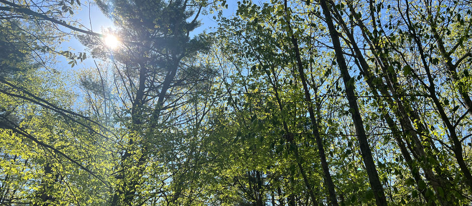 Spaces: "If some seasons are waves, what anchor in you keeps you from being pulled under?"