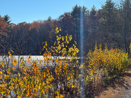 How thanksgiving in The Lord unites and why it unites and is a powerful force against the enemies of