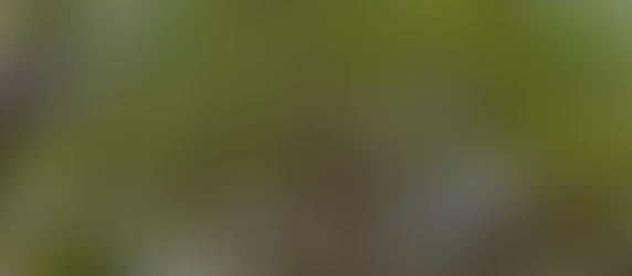 Spaces: "What reminds you that God is still guarding your steps?"