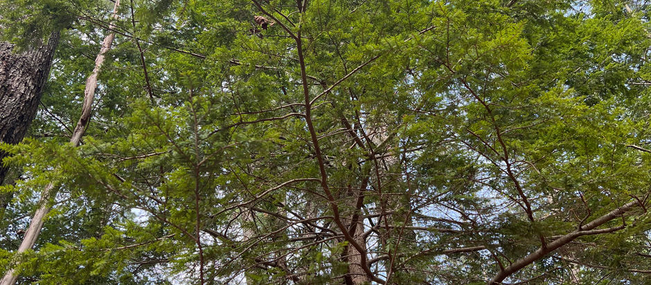 Spaces: "What reminds you that God is still guarding your steps?"