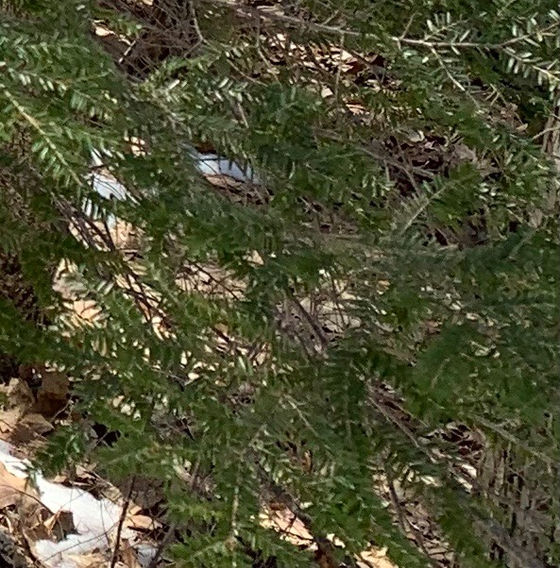 Why was the preacher perplexed? Answer: He was trying to find the missing pieces to complete his