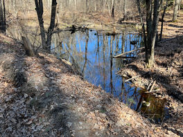 “Blessed are all they that wait for him.” - G.S.Notes