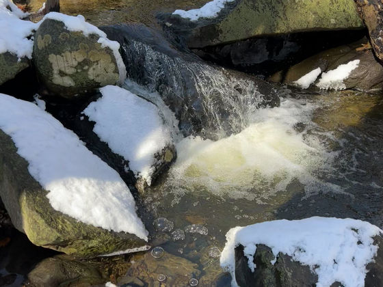 A resurrected manner is that of proper expectation and not a misconception that is an overreaction