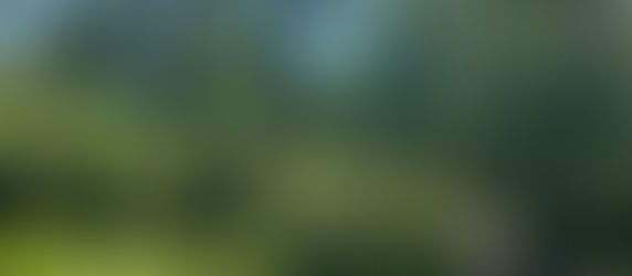 Spaces: "Hopeful — Blessings arrive as seeds, not jackpots; plant them with wisdom and watch communities flourish."