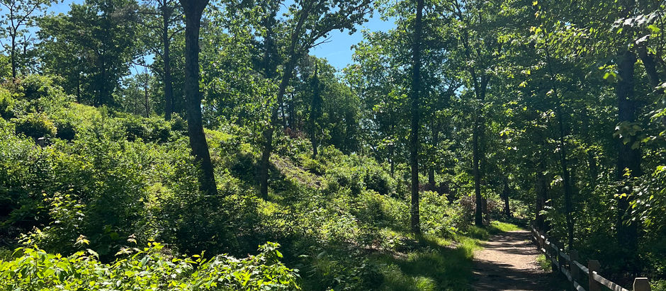 Spaces: "Hopeful — Blessings arrive as seeds, not jackpots; plant them with wisdom and watch communities flourish."