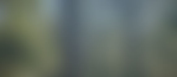 Spaces: "When the seed looks buried, is it really losing — or just waiting for its season?"