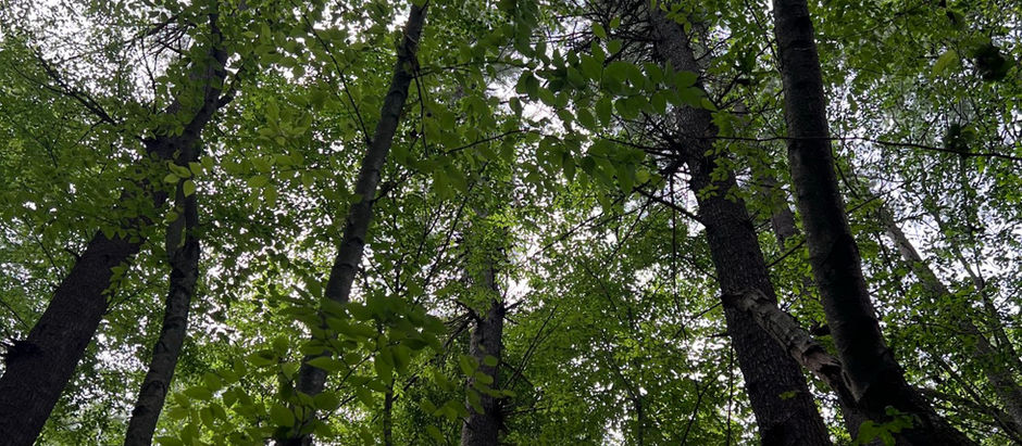 Spaces: "The earthly system hoards in isolated vaults; the Church operates by circulation. What the Head gives to one limb is immediately processed as fuel for the next."