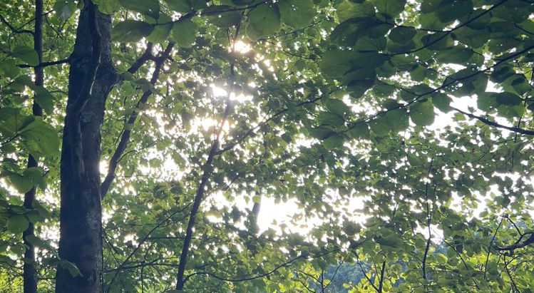 Spaces: "In Christ, we don't fold — we hold—Stand firm—It's holding the line."