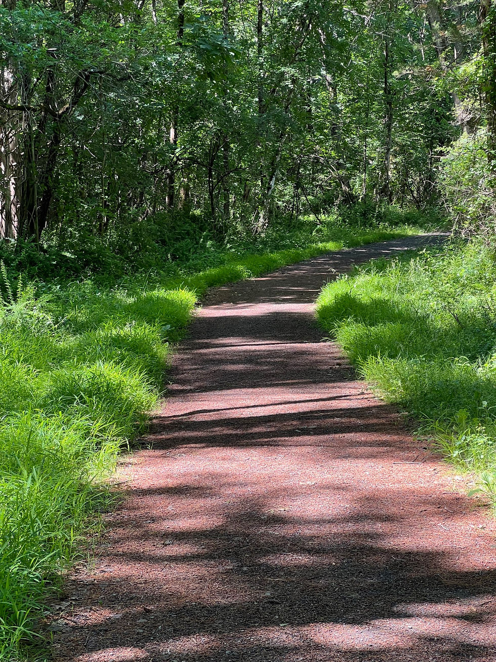 Spaces: "Why waste your fuel waiting for a dry landscape to change its nature, when you could just put your boots on the concrete and tap into the bedrock water that a drought can't touch?"