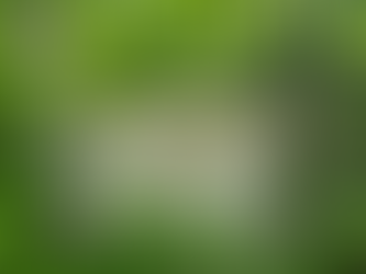 What is the love of the truth, and why it must be received in order to be truly given?