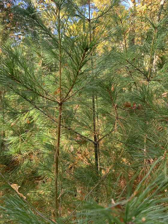 What to ask when when what to do is asked…