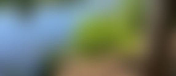 Spaces: "Contentment is a hidden treasure: whoever rests in God’s care is richer than the ones chasing ‘more’ and never catching it."