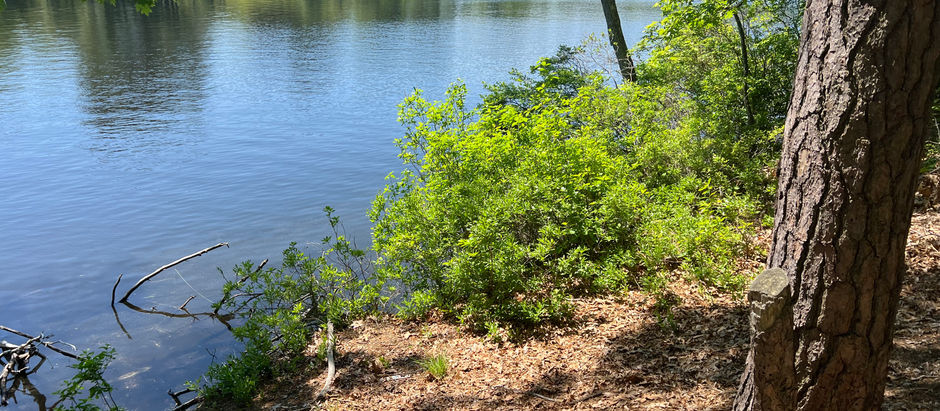 Spaces: "Contentment is a hidden treasure: whoever rests in God’s care is richer than the ones chasing ‘more’ and never catching it."