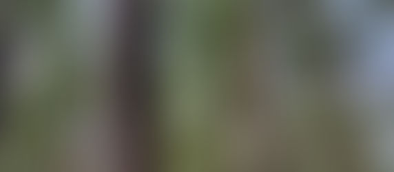 Spaces: "The world will always be two dollars short; Christ is the only place the bill is fully paid."