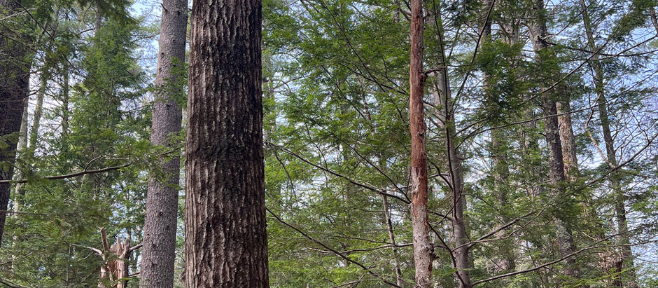 Spaces: "The world will always be two dollars short; Christ is the only place the bill is fully paid."