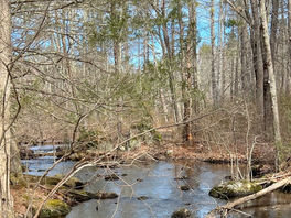 “Meekness and humility come from knowing that without God we can do nothing.” - G.S.Notes