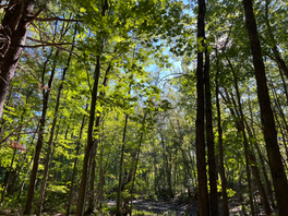 Get connected to God who is the ultimate source of providence instead of connecting with a systemic