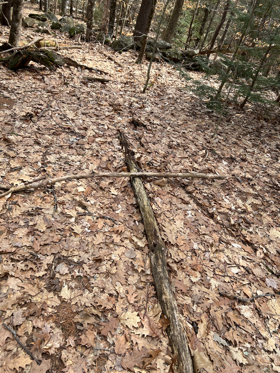 “To understand wisdom is to fathom the reality by knowing the situation in its entirety.” - G.S