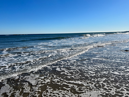 “Looking out for each other and the well-being is what counts as dual real wealth.” - G.S.Ministr