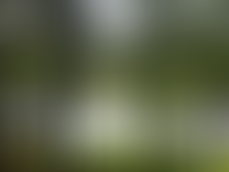 What Causes Confusion?