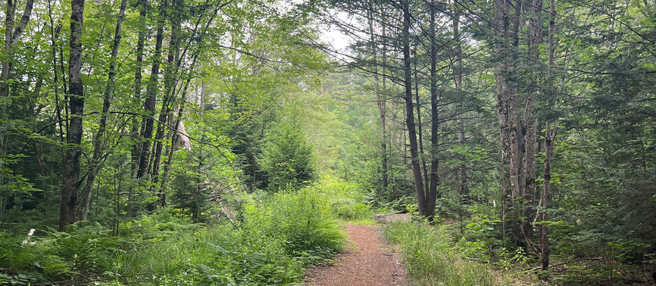 Spaces: "Sometimes the detour is the path — and every turn brings you closer to something meaningful."