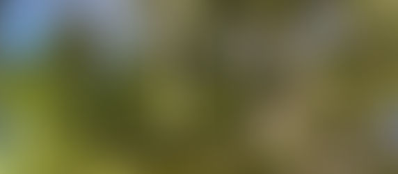 Spaces: "Human approval is commentary; divine blessing is authorship."